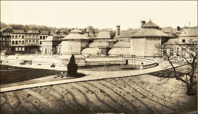 jardin_botanique_liege-1887.jpg