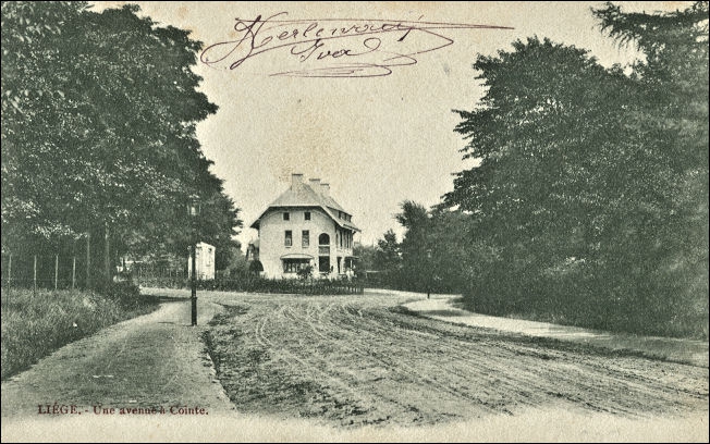 villa serrurier-bovy cointe 1903.jpg